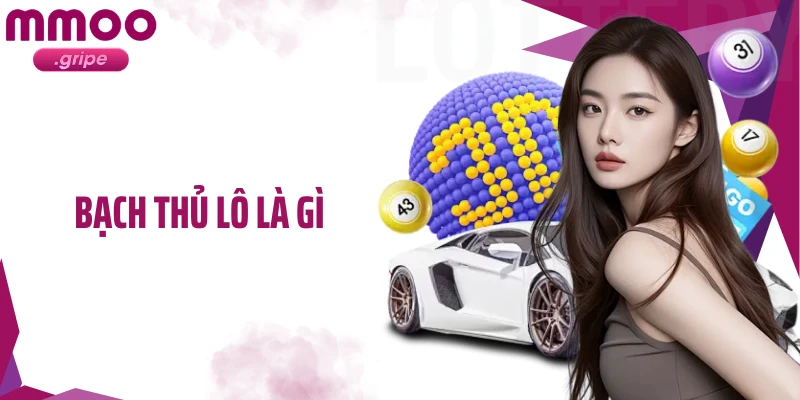 Bạch Thủ Lô Là Gì? Hiểu Đúng Về Khái Niệm Và Cách Chơi