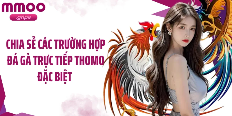Chia sẻ các trường hợp đá gà trực tiếp thomo đặc biệt 