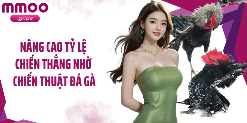 Nâng cao tỷ lệ chiến thắng nhờ chiến thuật đá gà